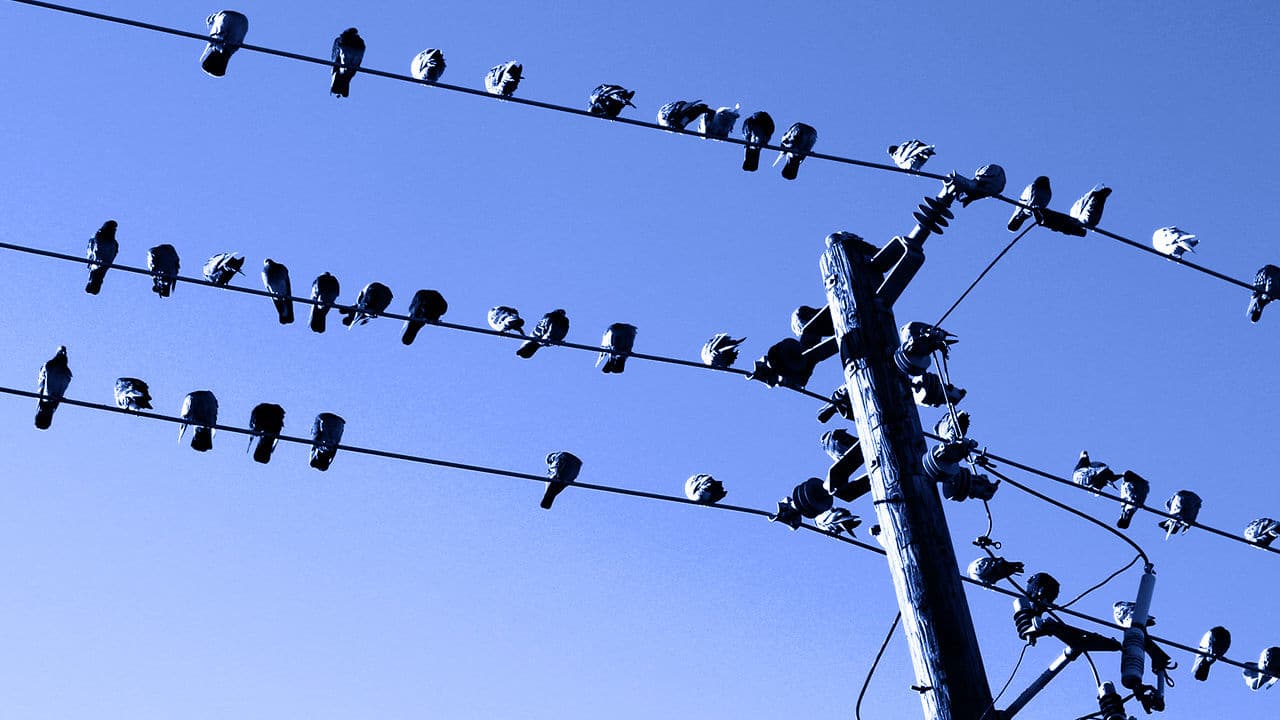 Aumentar las conversiones en Twitter en 8 consejos