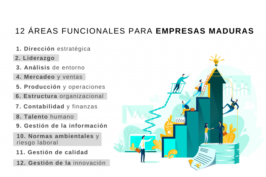 Áreas funcionales de las empresas