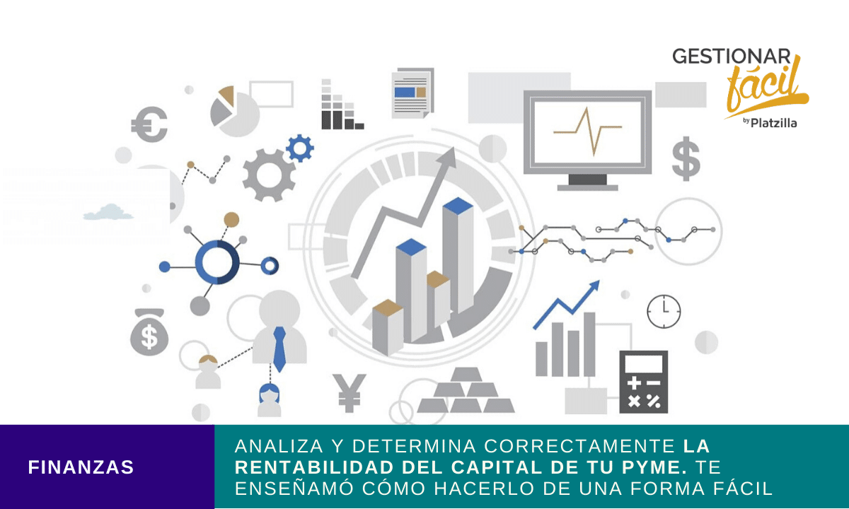 rentabilidad del capital