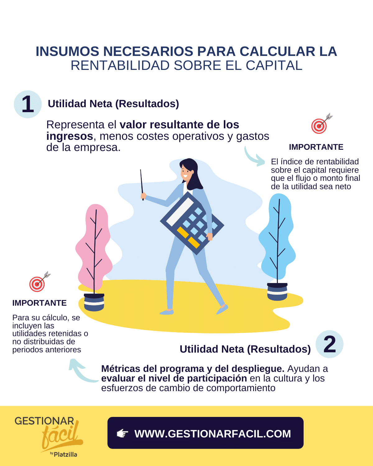 rentabilidad del capital